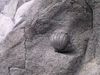 Boulder-Detail-2-Thumb