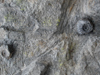 Boulder-Detail-3-Thumb