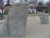 Selkirk-5-Thumb
